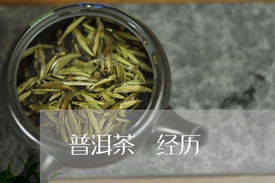 普洱茶 经历/2023042890369